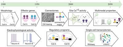 Open Frontiers in Neural Cell Type Investigations; Lessons From Caenorhabditis elegans and Beyond, Toward a Multimodal Integration